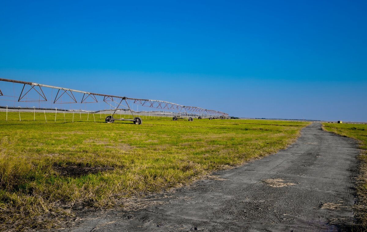 Sprinkler irrigation across a farm field