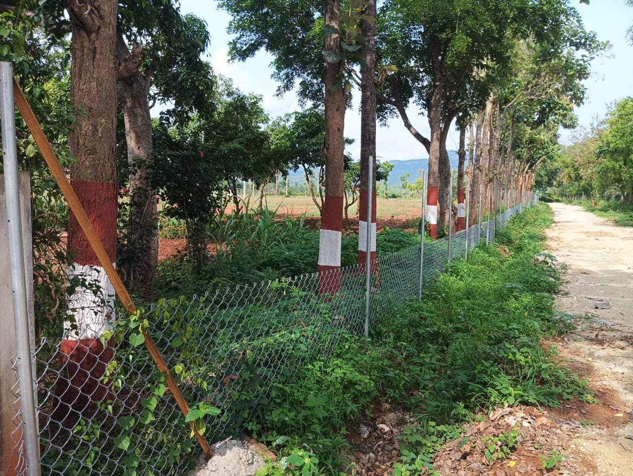 Krushi Bhoomi Farms — photo 3