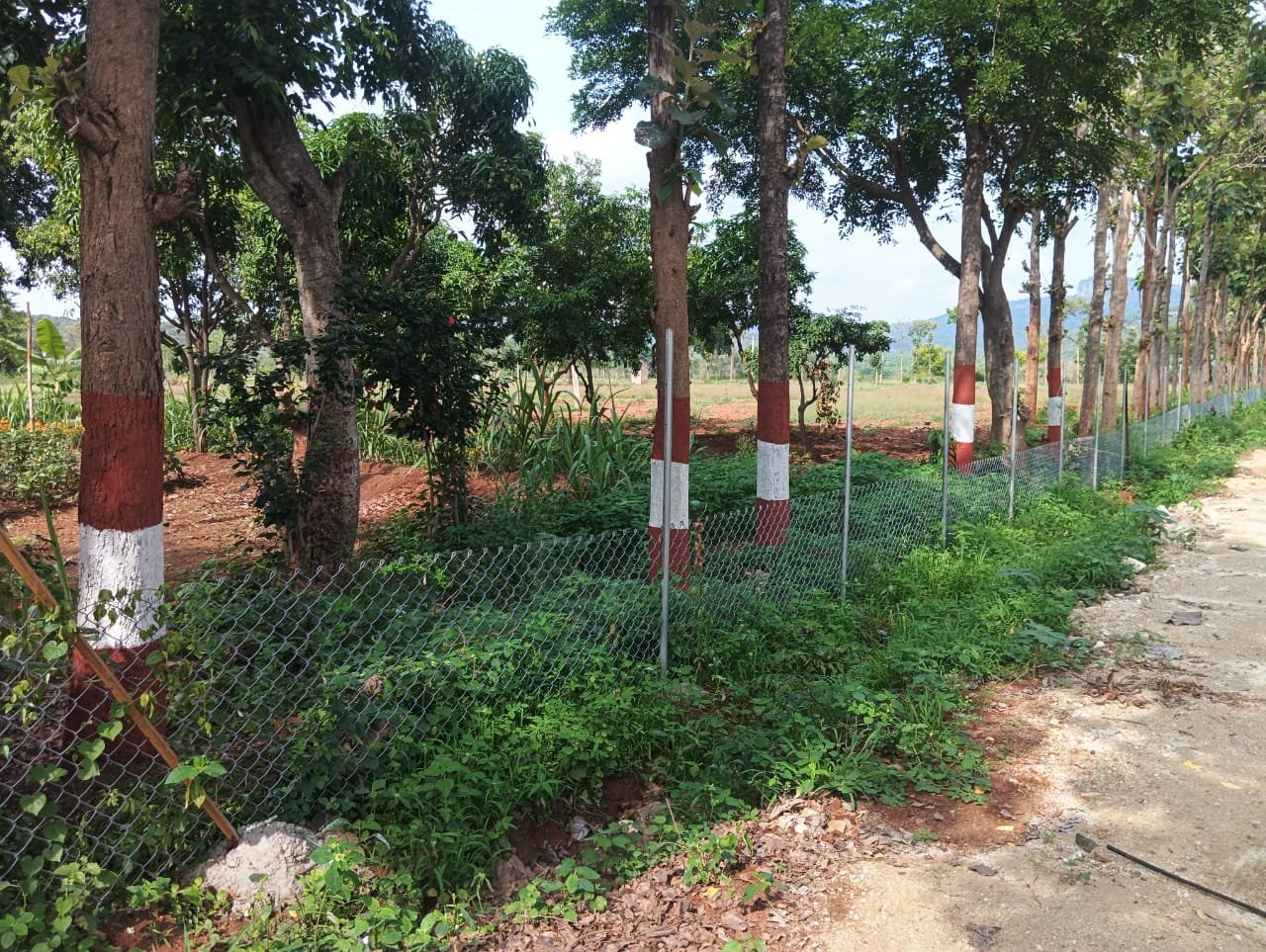 Krushi Bhoomi Farms — photo 5