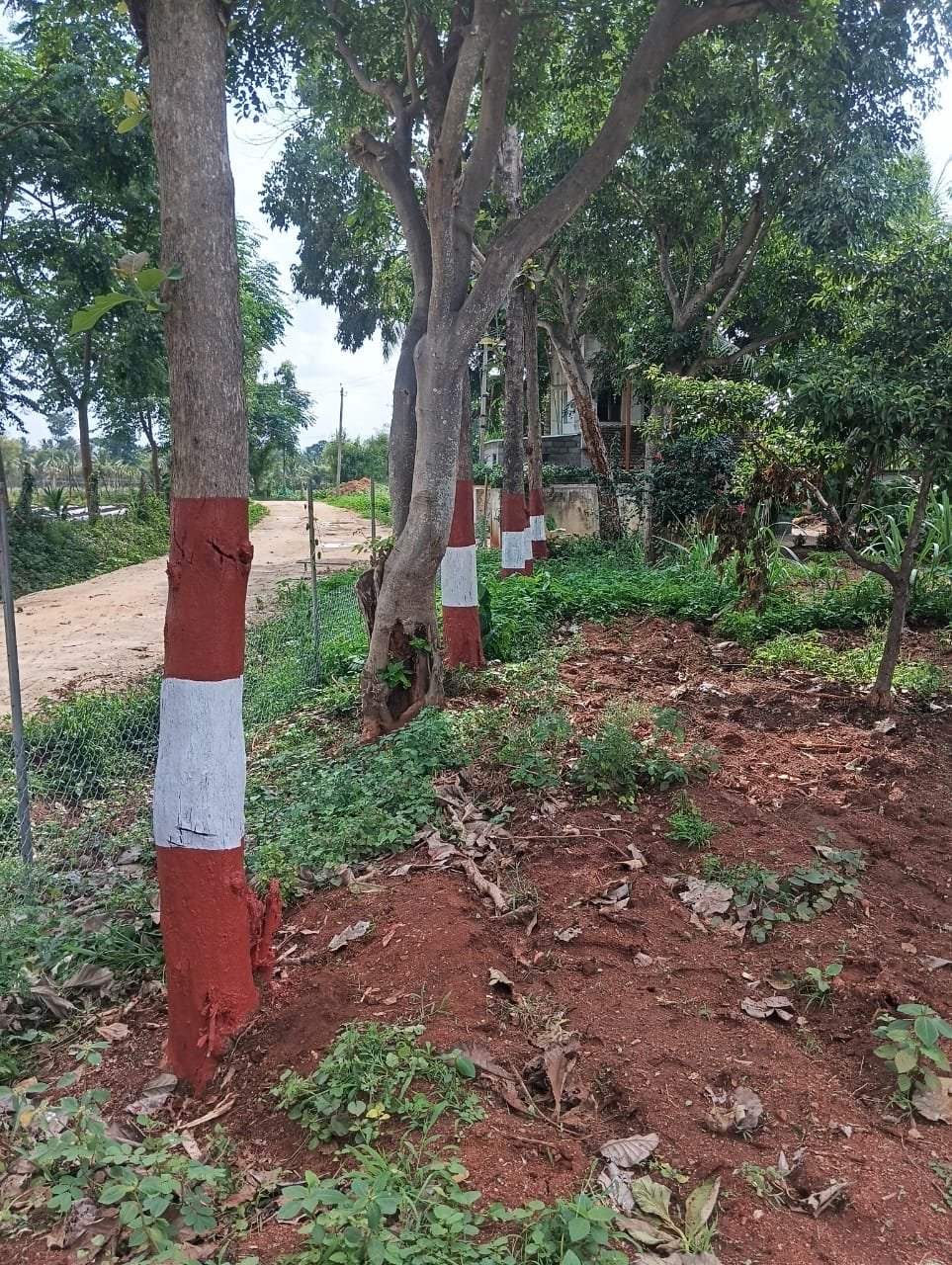 Krushi Bhoomi Farms — photo 7