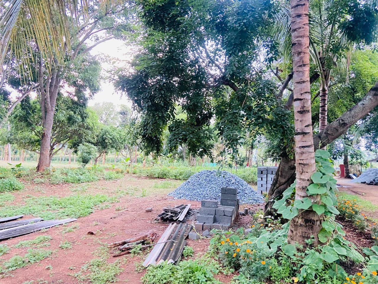 Krushi Bhoomi Farms — photo 9