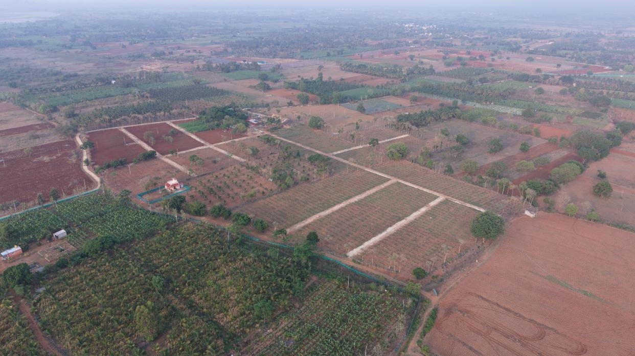 Krushi Bhoomi Farms — aerial photo 29