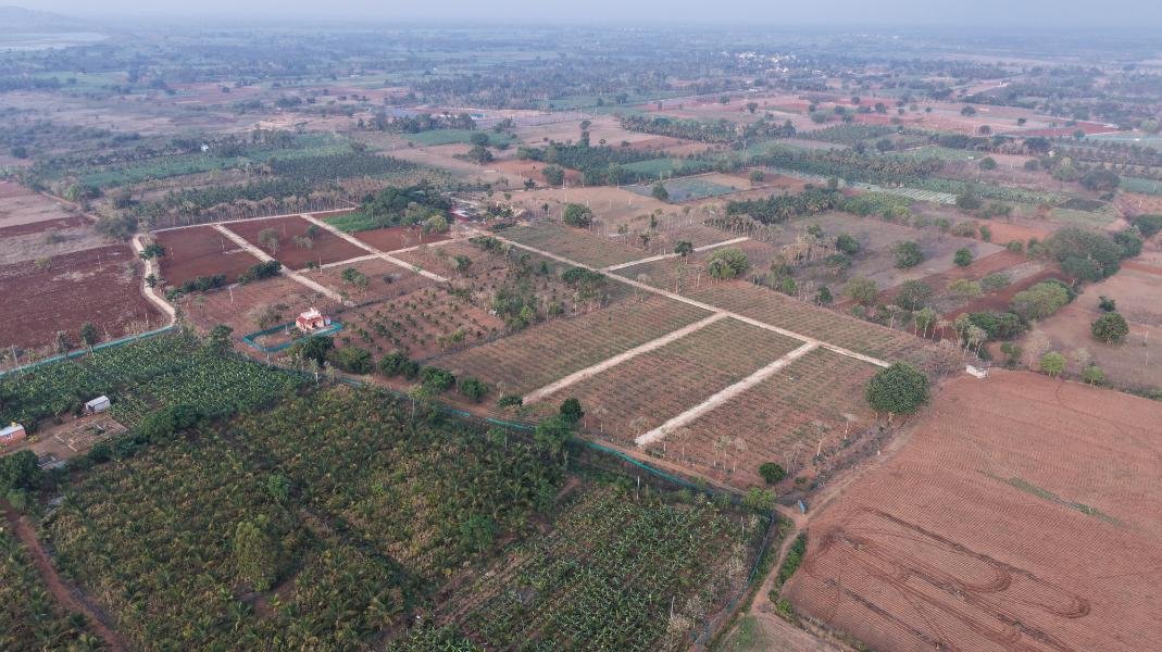 Krushi Bhoomi Farms — aerial photo 30