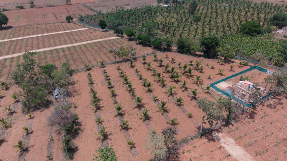 Krushi Bhoomi Farms — aerial photo 43