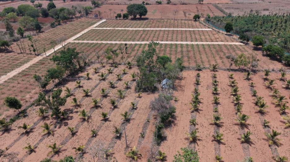 Krushi Bhoomi Farms — aerial photo 44